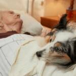 Hund am Bett einer pflegebedürftigen Bewohnerin