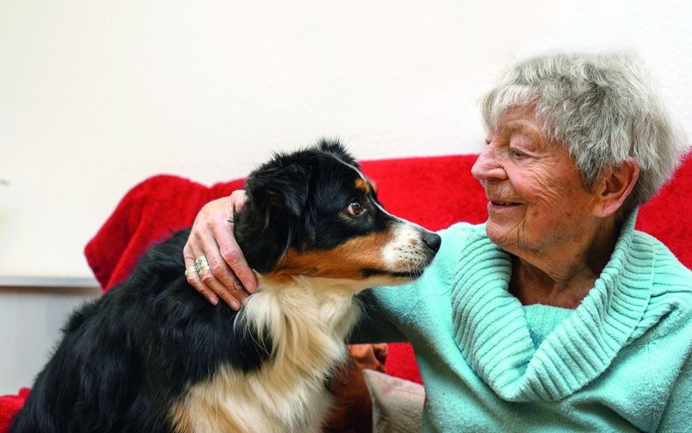 Seniorin streichelt einen Hund und freut sich.
