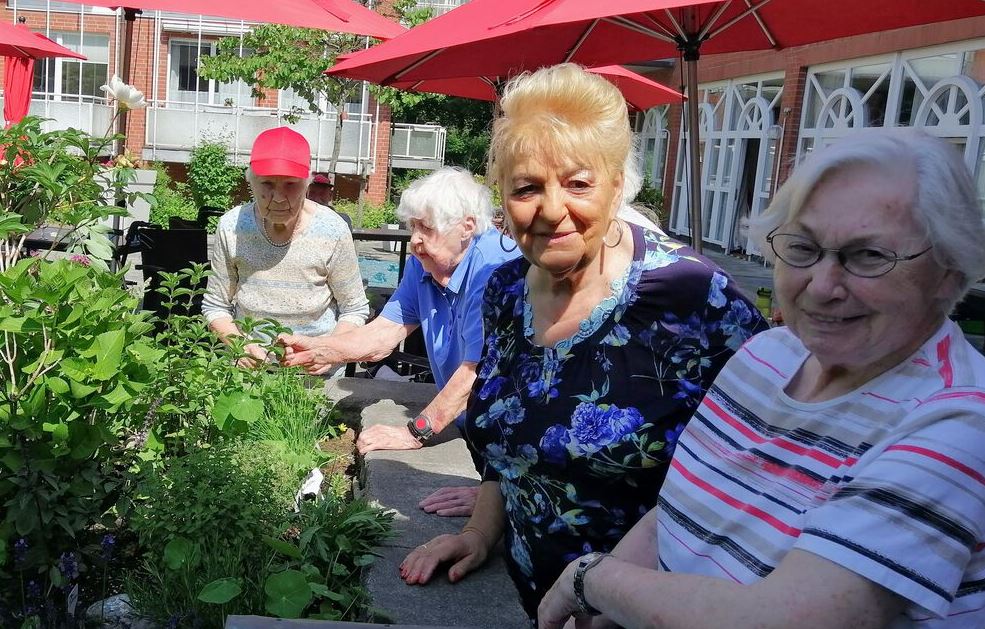 Seniorinnen im Kräutergarten