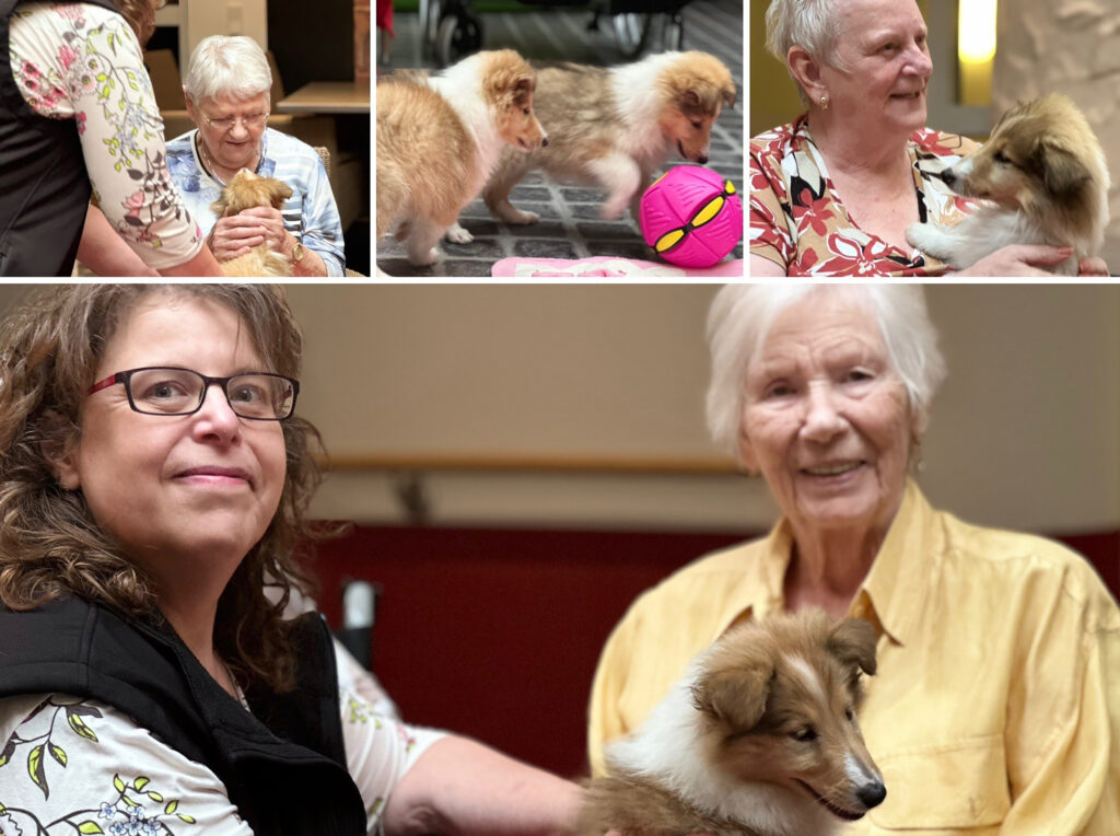 Hundetherapie im Haus Stephanus