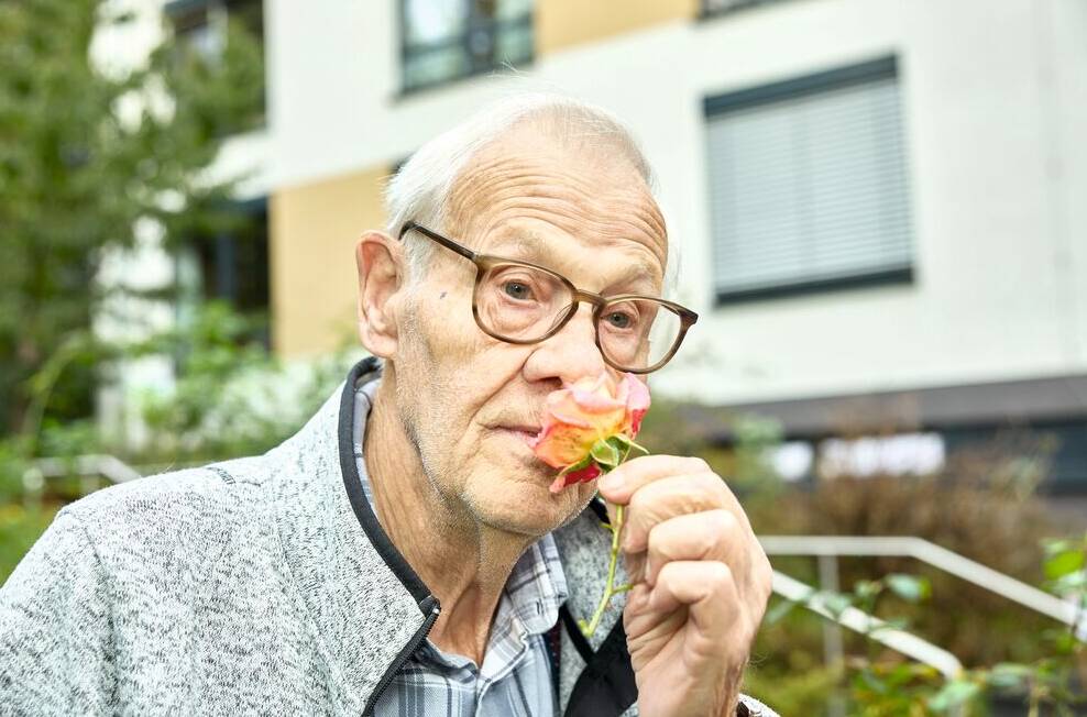 Senior schnuppert an Rose