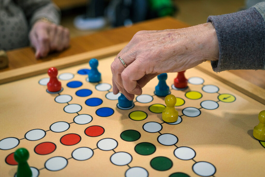 Mensch-ärgere-dich-nicht Brettspiel
