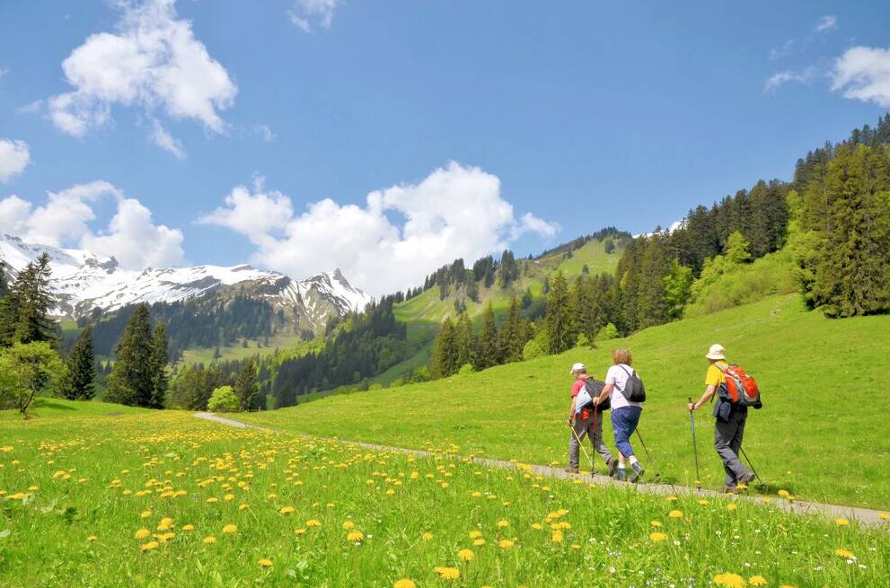 Wandern in den Bergen