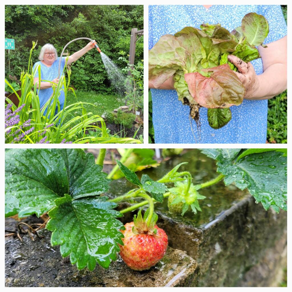 Fotocollage Garten