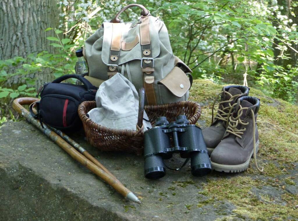 Wanderausrüstung im Wald