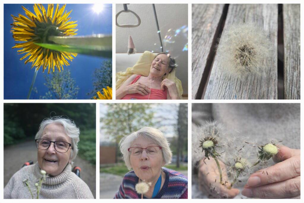 Pusteblumen und Seifenblasen wecken Lebensfreude