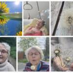 Pusteblumen und Seifenblasen wecken Lebensfreude